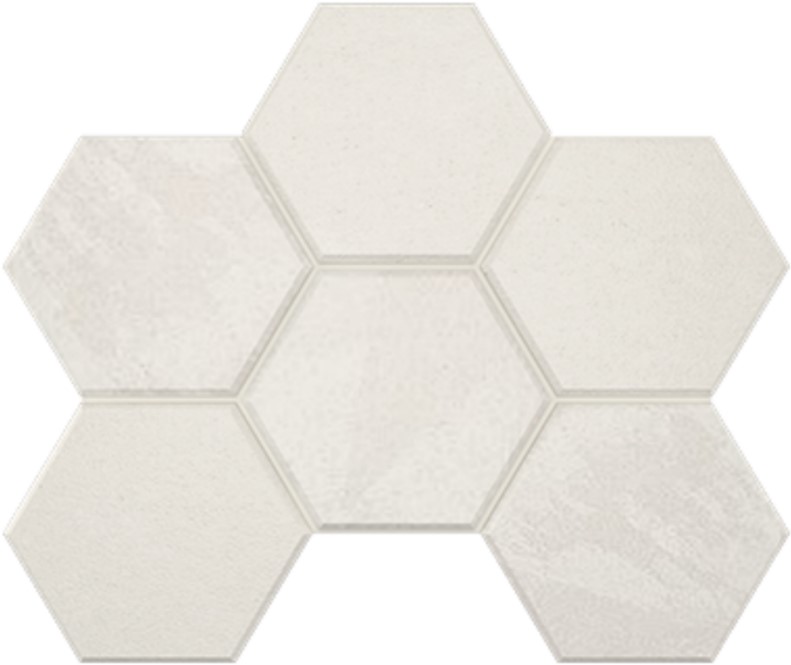 LN00/TE00 Terra White Hexagon 250x285 неполированный белый мозаика