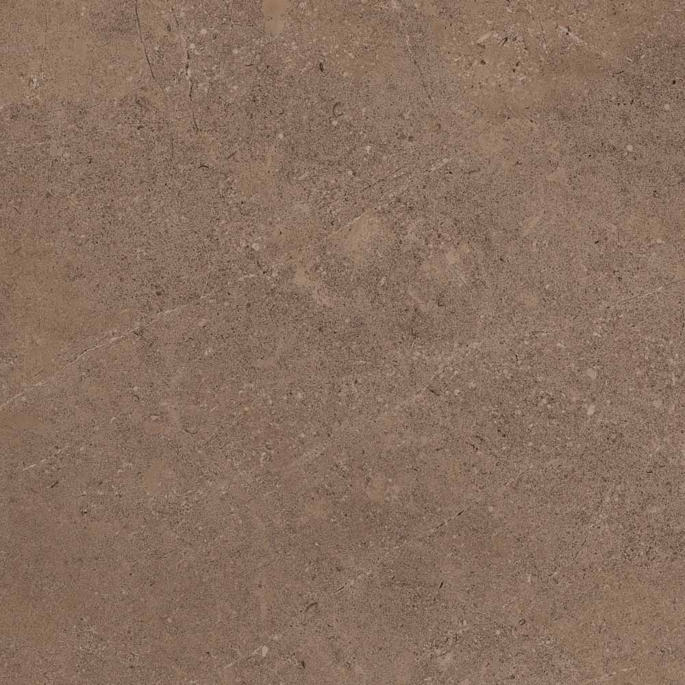 GO02 Gobi Dark Beige 600x600 неполированный бежевый